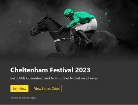 bet365 nrnb cheltenham 2021